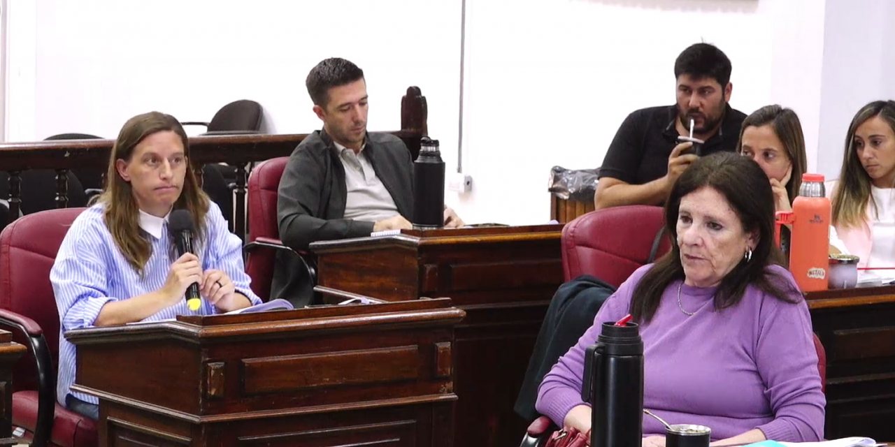 El Concejo Deliberante abri� el debate por la regulaci�n de geri�tricos